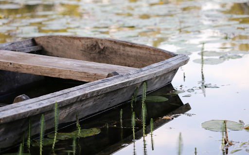 Old boat and moss on the river  from Chrome web store to be run with OffiDocs Chromium online
