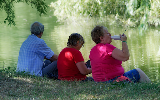 Old friends  from Chrome web store to be run with OffiDocs Chromium online