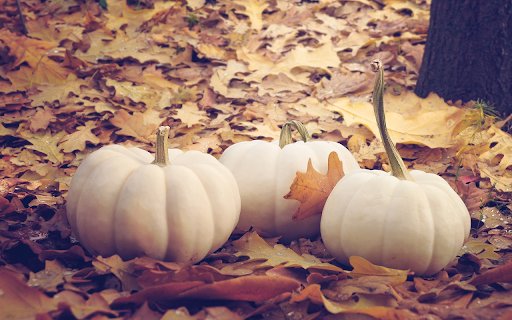 Old white pumpkin  from Chrome web store to be run with OffiDocs Chromium online
