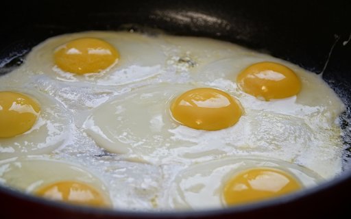 Omelet  from Chrome web store to be run with OffiDocs Chromium online