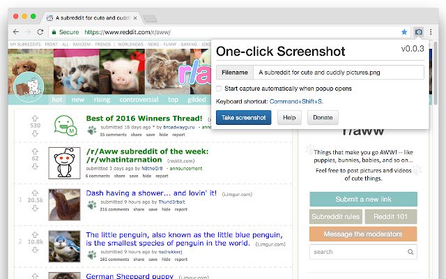One click Screenshot  from Chrome web store to be run with OffiDocs Chromium online