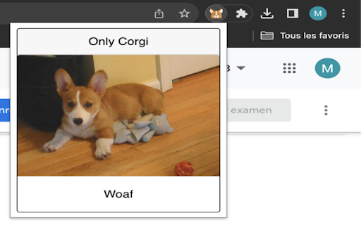 Only corgi  from Chrome web store to be run with OffiDocs Chromium online