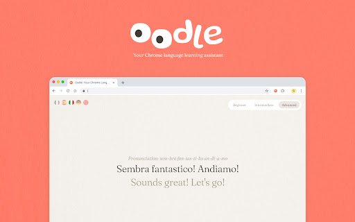Oodle: Your Chrome Language Learning Assistant  from Chrome web store to be run with OffiDocs Chromium online