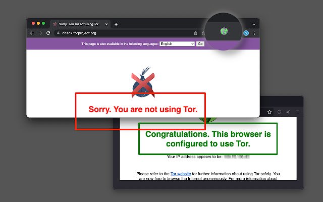 从 Chrome 网上商店在洋葱浏览器中打开，以在线运行 OffiDocs Chromium