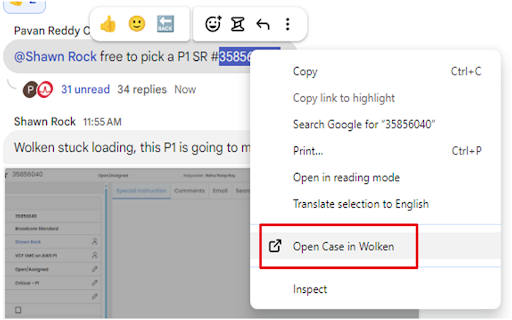 Open Wolken Case by Seamus Barcoe  from Chrome web store to be run with OffiDocs Chromium online