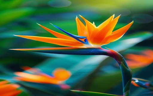 orange bird of paradise wallpaper  from Chrome web store to be run with OffiDocs Chromium online