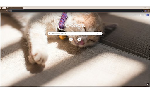 Orange Cat Sleeping on the Grey Surface  from Chrome web store to be run with OffiDocs Chromium online