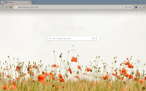 OrangeFlower Browser Theme from Chrome web store to be run with OffiDocs Chromium online OrangeFlower Browser Theme from Chrome web store to be run with OffiDocs Chromium online