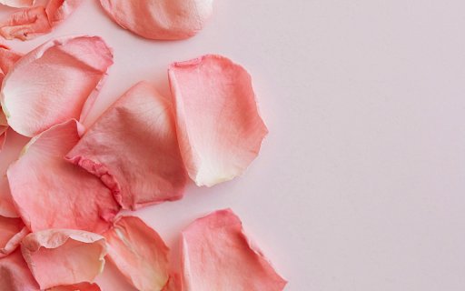 Orange Rose Petals  from Chrome web store to be run with OffiDocs Chromium online