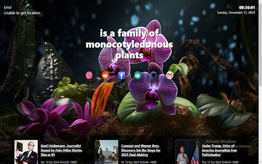 orchids  from Chrome web store to be run with OffiDocs Chromium online