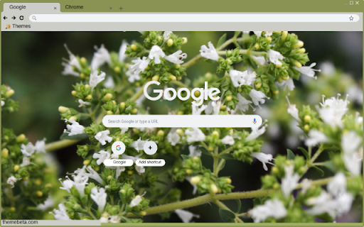Origanum  from Chrome web store to be run with OffiDocs Chromium online