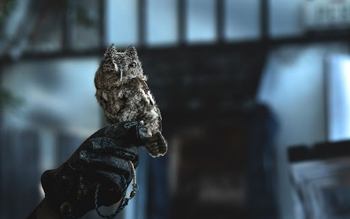 Owl Theme  from Chrome web store to be run with OffiDocs Chromium online