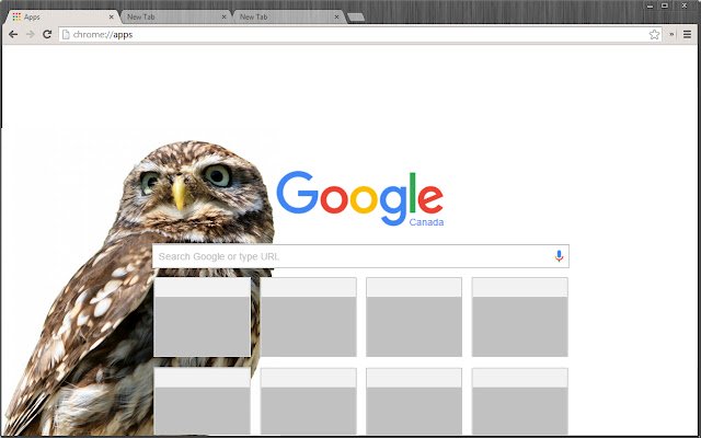 Chrome 网上商店的 Owl 主题将与 OffiDocs Chromium 在线运行