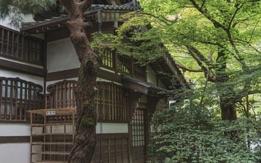PAGODA Theme  from Chrome web store to be run with OffiDocs Chromium online