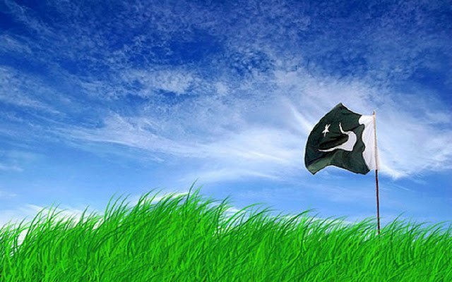 דגל פקיסטני מחנות האינטרנט של Chrome להפעלה עם OffiDocs Chromium באינטרנט