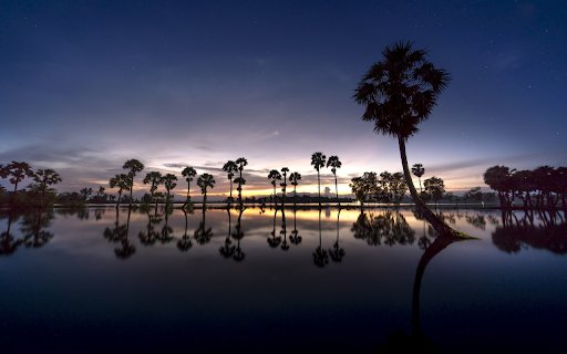 Palm  from Chrome web store to be run with OffiDocs Chromium online
