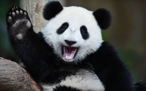 Pandas ProAvalon Stats Tracker  from Chrome web store to be run with OffiDocs Chromium online