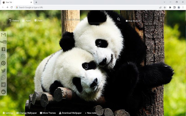 Panda Wallpaper New Tab من متجر Chrome الإلكتروني ليتم تشغيلها باستخدام OffiDocs Chromium عبر الإنترنت