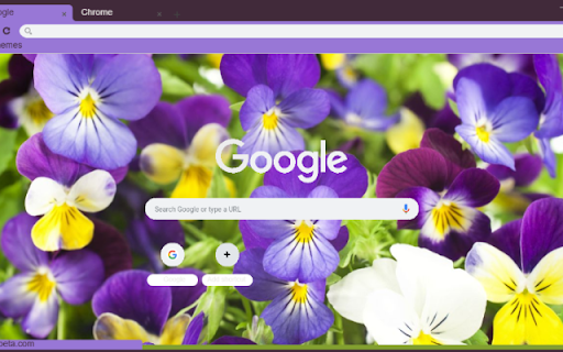 Pansy  from Chrome web store to be run with OffiDocs Chromium online