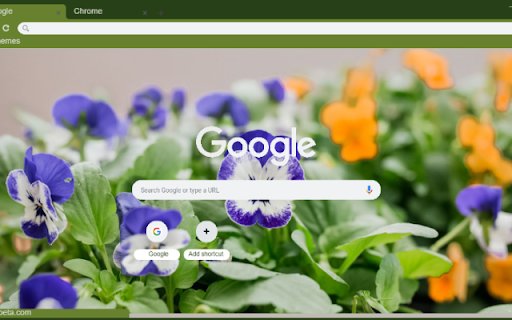 Pansy Viola  from Chrome web store to be run with OffiDocs Chromium online