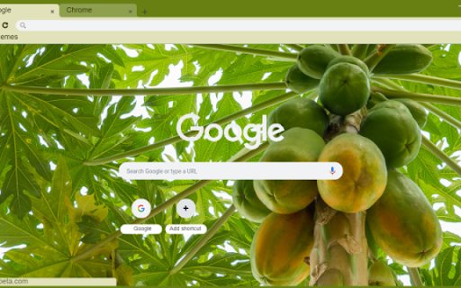 Papaya Tree  from Chrome web store to be run with OffiDocs Chromium online