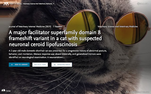 OffiDocs Chromiumオンラインで実行されるChrome WebストアのPaper Of The Day