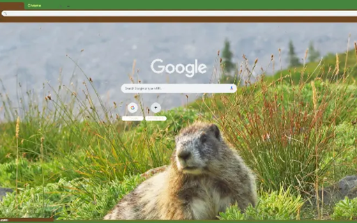 Paradise marmot v1  from Chrome web store to be run with OffiDocs Chromium online