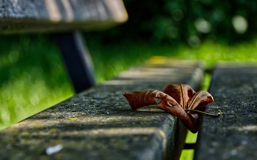 Park bench and leaf  from Chrome web store to be run with OffiDocs Chromium online
