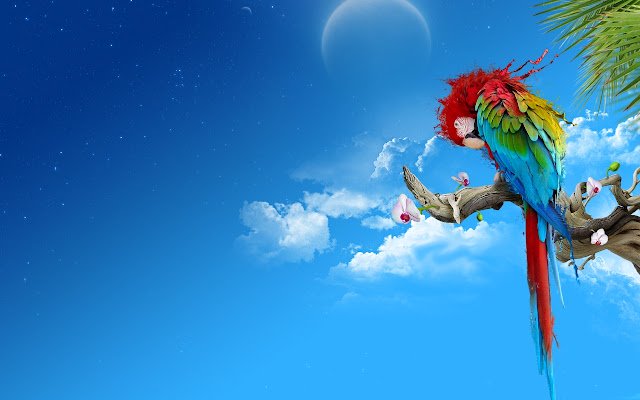 Parrot Safirmedya  from Chrome web store to be run with OffiDocs Chromium online