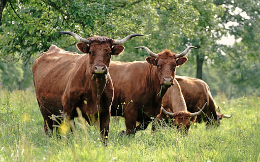 Pasture Guardians  from Chrome web store to be run with OffiDocs Chromium online