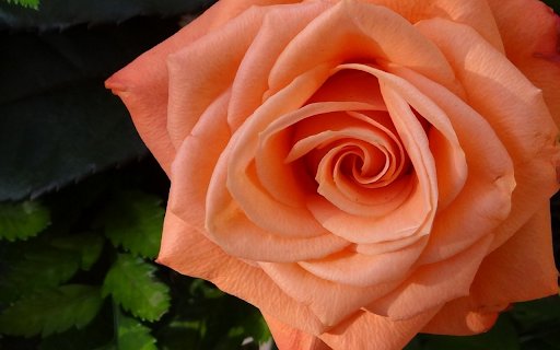 Peach Perfection  from Chrome web store to be run with OffiDocs Chromium online