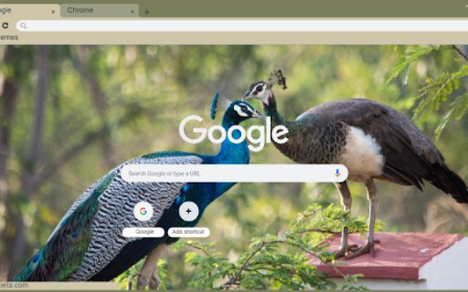 Peacock  from Chrome web store to be run with OffiDocs Chromium online