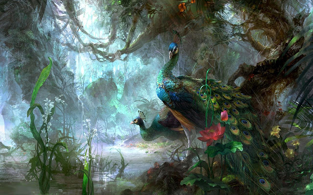Peacock the Bird  from Chrome web store to be run with OffiDocs Chromium online Peacock the Bird  from Chrome web store to be run with OffiDocs Chromium online