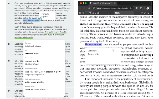Peakee  from Chrome web store to be run with OffiDocs Chromium online