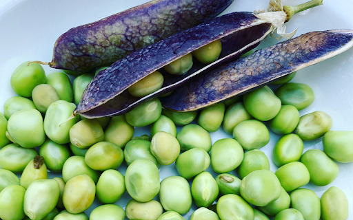 Pea pods and seeds from Chrome web store to be run with OffiDocs Chromium online Pea pods and seeds from Chrome web store to be run with OffiDocs Chromium online