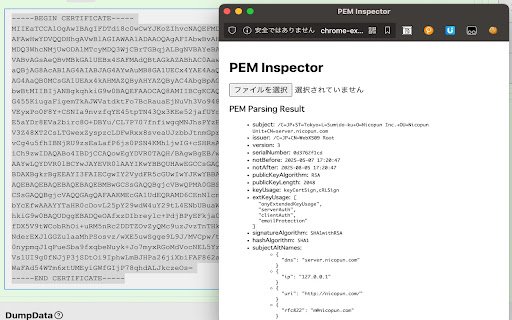 PEM Inspector  from Chrome web store to be run with OffiDocs Chromium online