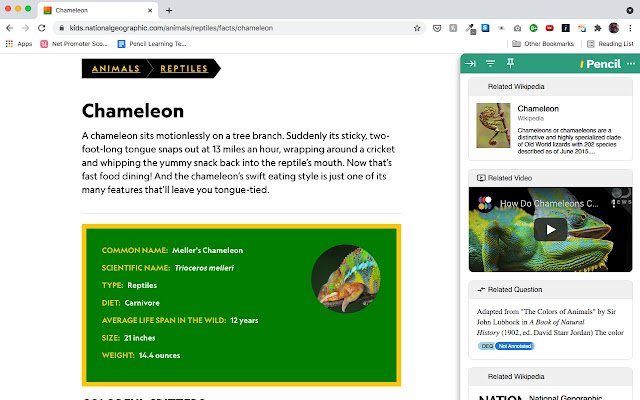 Pencil Explore for Chrome  from Chrome web store to be run with OffiDocs Chromium online