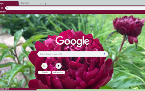 Peony  from Chrome web store to be run with OffiDocs Chromium online