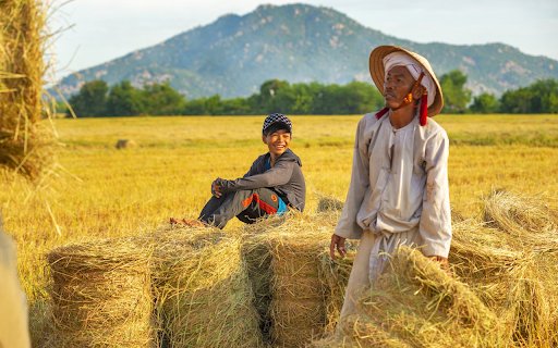 People have a good rice harvest  from Chrome web store to be run with OffiDocs Chromium online