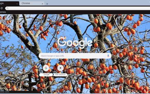 Persimmon Tree  from Chrome web store to be run with OffiDocs Chromium online