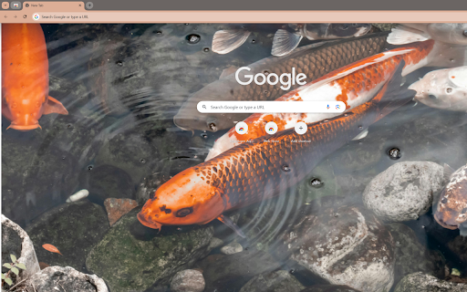 photograph artistically captures a renowned koi pond  from Chrome web store to be run with OffiDocs Chromium online