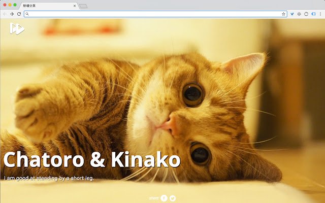 PHOWERD  from Chrome web store to be run with OffiDocs Chromium online