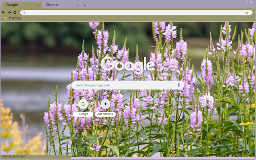Physostegia Virginiana  from Chrome web store to be run with OffiDocs Chromium online