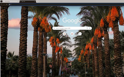 picturesque country road lined with palm trees  from Chrome web store to be run with OffiDocs Chromium online