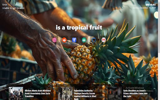 pineapple  from Chrome web store to be run with OffiDocs Chromium online