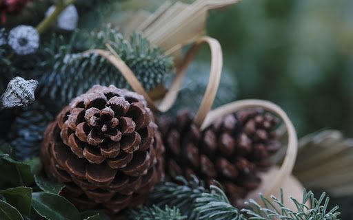 PINE FRUIT THEME  from Chrome web store to be run with OffiDocs Chromium online
