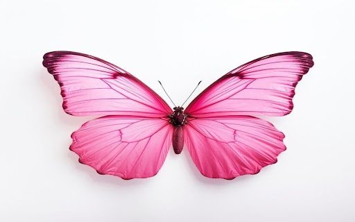 pink butterfly wallpaper  from Chrome web store to be run with OffiDocs Chromium online