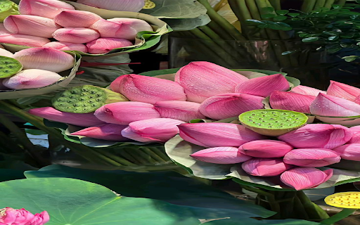 Pink lotus bouquets Wallpaper  from Chrome web store to be run with OffiDocs Chromium online