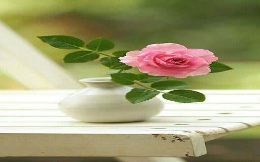 Pink rose vase wallpaper  from Chrome web store to be run with OffiDocs Chromium online