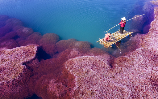 Pink shadow on the river from Chrome web store to be run with OffiDocs Chromium online Pink shadow on the river from Chrome web store to be run with OffiDocs Chromium online